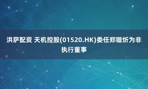 洪萨配资 天机控股(01520.HK)委任郑锴炘为非执行董事