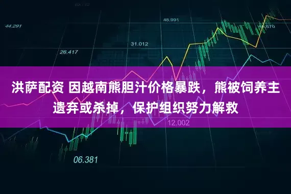 洪萨配资 因越南熊胆汁价格暴跌，熊被饲养主遗弃或杀掉，保护组织努力解救