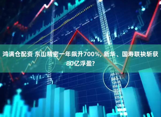 鸿满仓配资 东山精密一年飙升700%, 新华、国寿联袂斩获80亿浮盈?